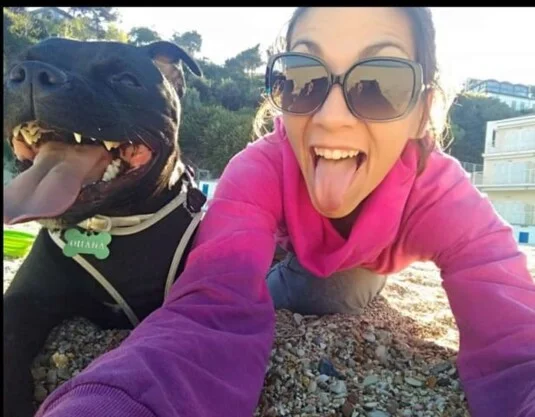Staffordshire bull terrier