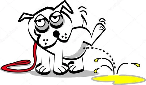 Educazione ai bisogni