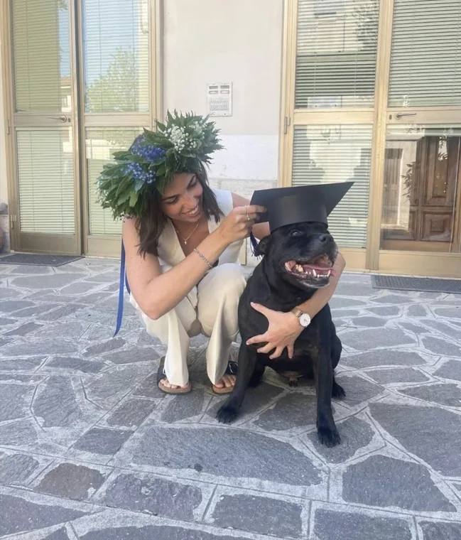 Cuccioli di Staffordshire Bull Terrier: socializzazione in casa