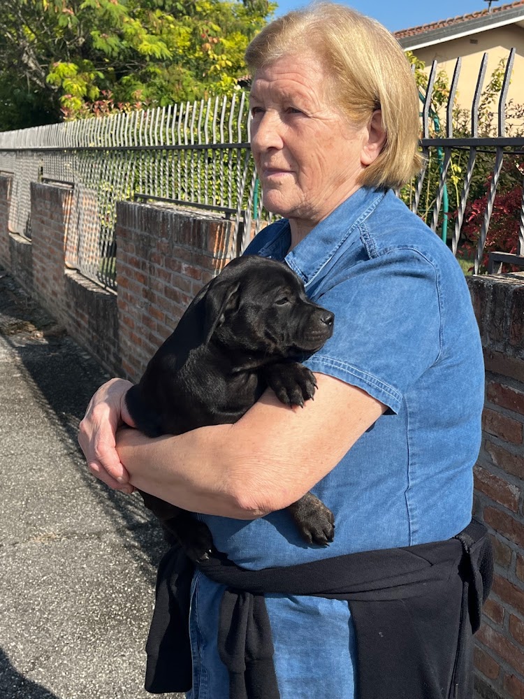 Eine Frau in einem Jeanshemd hält einen schwarzen Welpen im Arm.