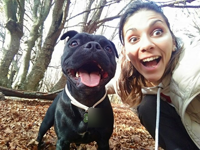 Lächelnder schwarzer Hund mit Zunge draußen und lächelnde Frau in einem Herbstwald