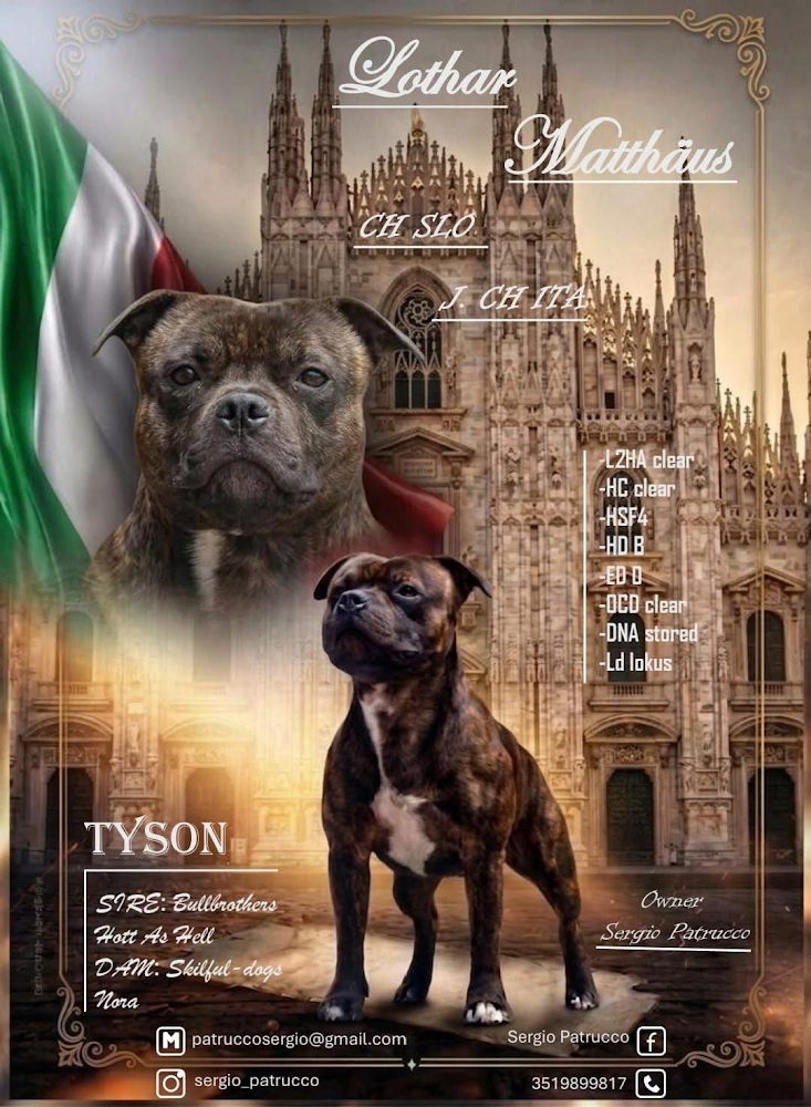 Foto aus der Zucht Del Piccolo Diavolo