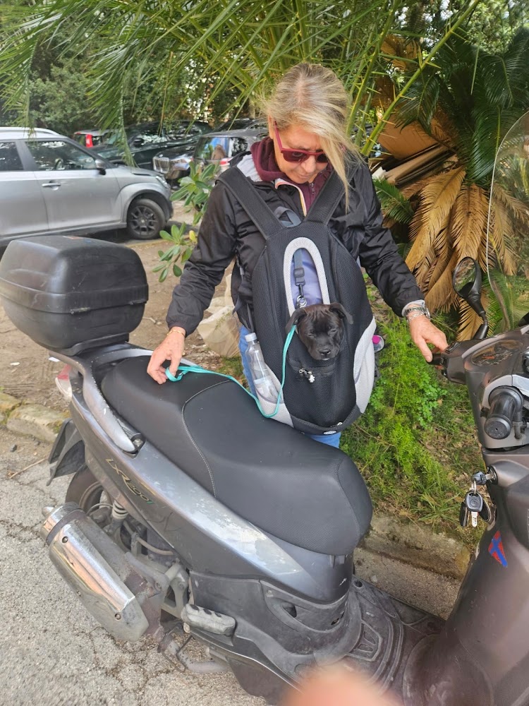 Frau mit dunklem Welpen im Rucksack neben einem Motorroller