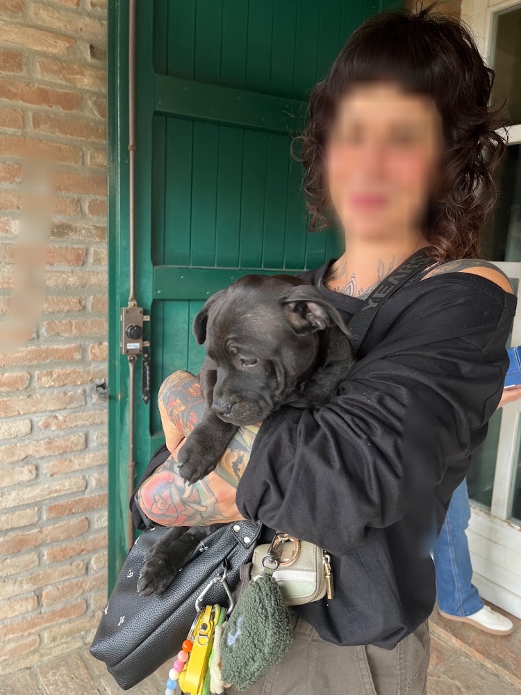 Frau hält einen schwarzen Welpen vor einer grünen Tür im Arm.