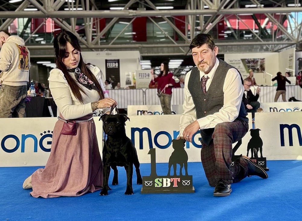 Ein schwarzer Staffordshire Bull Terrier posiert mit zwei Personen neben einer "1"-Trophäe.