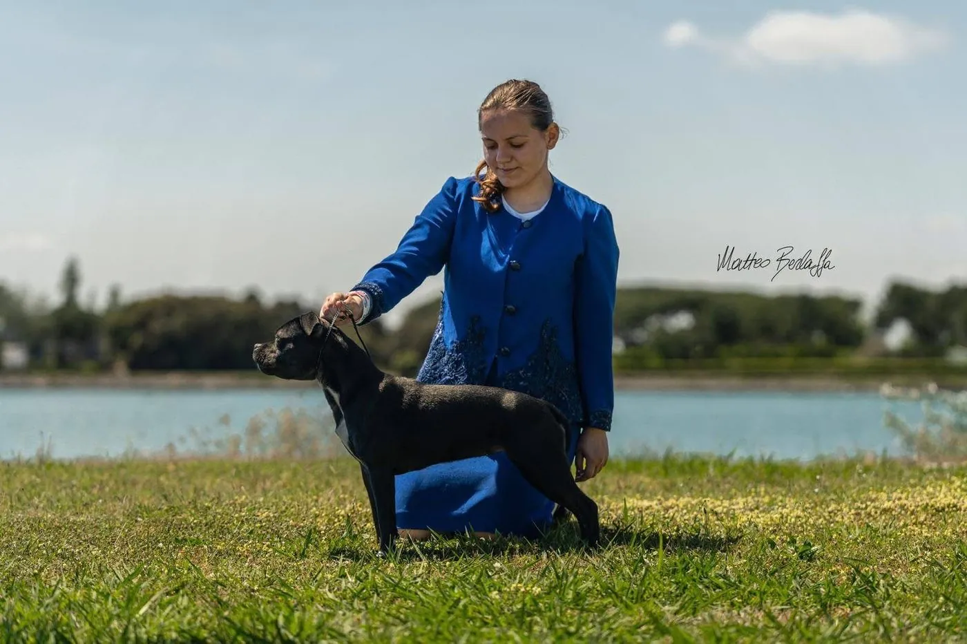 Queen of California Aka Desy - Giovane Campionessa Italiana Staffordshire Bull Terrier